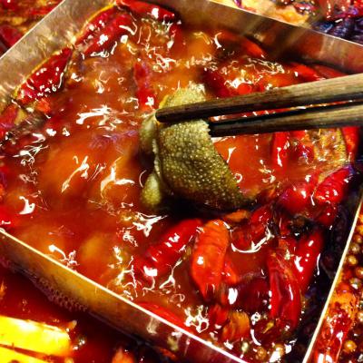成都火鍋培訓(xùn)多少錢？ 成都火鍋培訓(xùn)多少錢？
